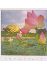 Cards - MM 010