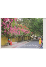 Post Card - 014 (Capturing a Colourful Pondicherry)