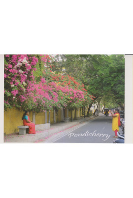 Post Card - 014 (Capturing a Colourful Pondicherry)