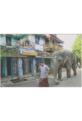 Post Card - 022 (Online and En route)