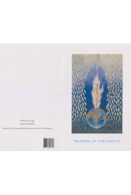 Cards 026 - Paintings (URP)