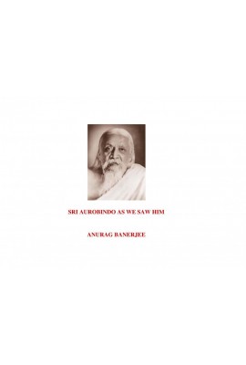  Sri Aurobindo As We Saw Him 