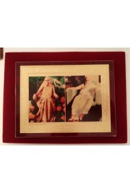 Plastic Frame with The Mother's & Sri Aurobindo's photos (gold foil) - 7"X9"