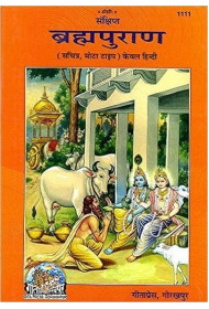 Brahmapurana - Mota Type - only hindi